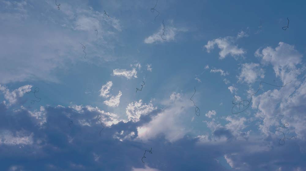 A picture of a sky with clouds and hair-like, thin, black floaters scattered throughout the image.
